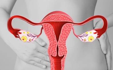 B-4 Urinary Incontinence Vaginoplasty image 6